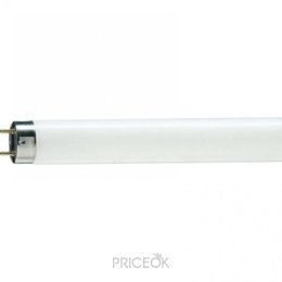 Лампочку и аксессуары Philips TL-D Standard Colours 36W/33-640 G13 (928048503351)